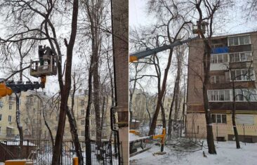 УК «Дипломат» выполнила опиловку деревьев по адресу: ул. Пушкинская, д. 41