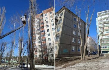УК «Дипломат» продолжает опиловку деревьев у дома №39 на ул. 232-й Стрелковой Дивизии