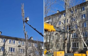 УК «Дипломат» завершила опиловку деревьев во дворе дома №39 на ул. 232-й Стрелковой Дивизии