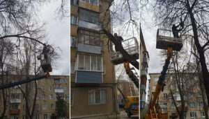 опиловка деревьев
