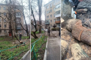 рубка дерева