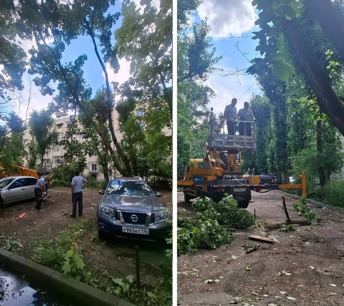 УК «Дипломат» провела опиловку аварийной ветки в доме по улице Депутатской