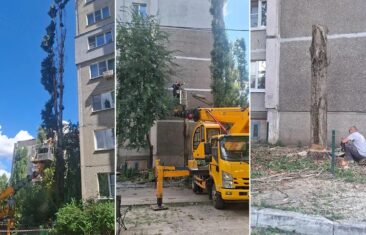 УК «Дипломат» провела санитарную обрезку деревьев и восстановила ограждение в доме №71 на ул. Владимира Невского