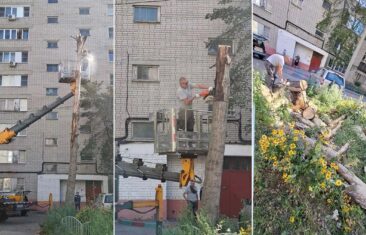 УК «Дипломат» выполнила работы по рубке деревьев у дома №126 на ул. Чапаева