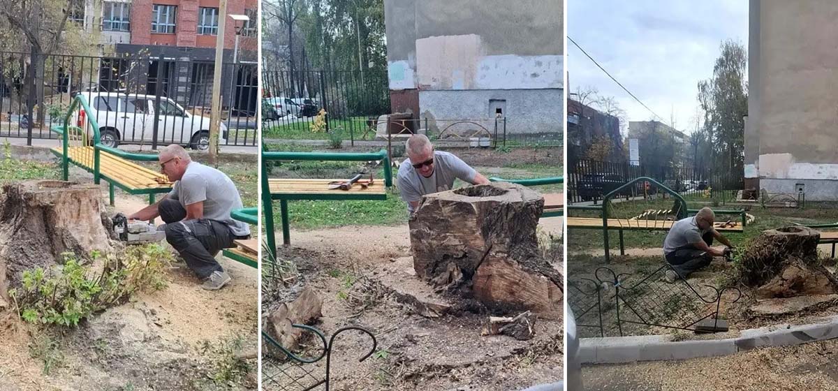 УК «Дипломат» провела работы по удалению пенька у дома №27 на ул. Красноармейской